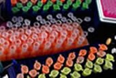 A stylized image of laboratory racks holding Eppendorf test tubes. A stylized image of laboratory racks holding Eppendorf test tubes.